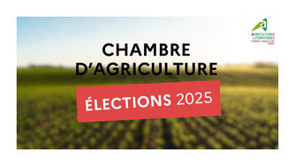 2025 Elections Chambre D Agriculture Large